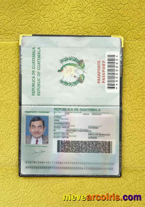 Guatemala passport photolook